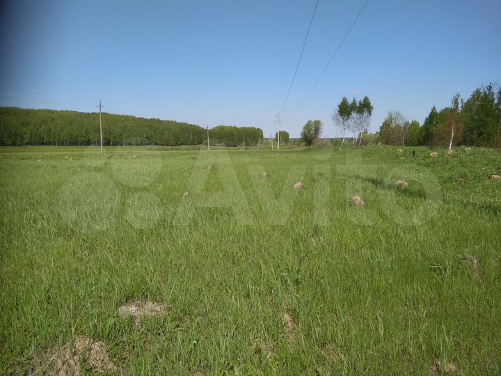 Участок 6,1 га (СНТ, ДНП)