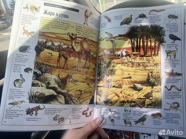 Камини Хандури Дет книжки