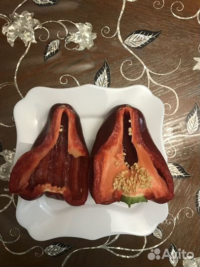 Рассада перца, баклажан,огурцов,тыквы, физалиса