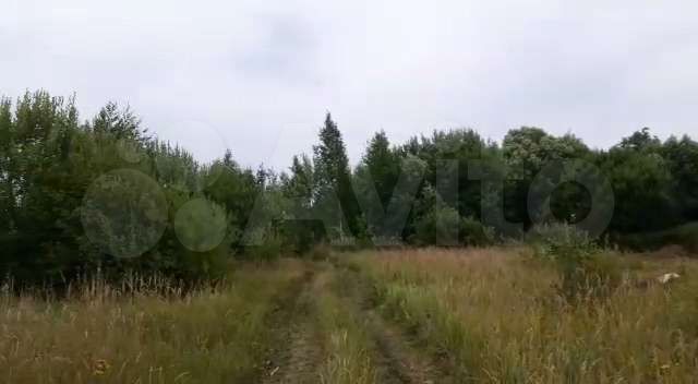 Участок 4,5 га (СНТ, ДНП)