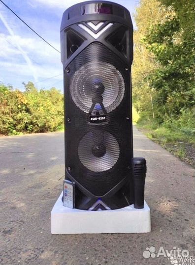 Колонка музыкальная с проводным микрофоном