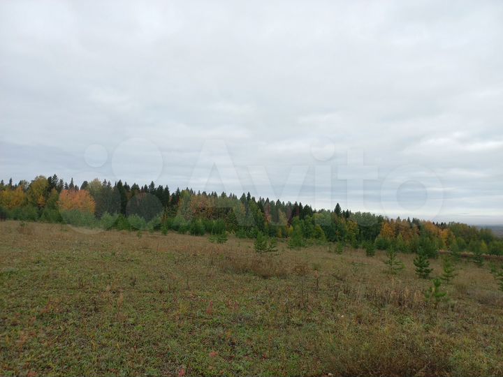 Участок 26 сот. (СНТ, ДНП)