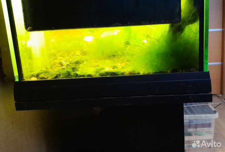 Аквариум ferplast cayman 80