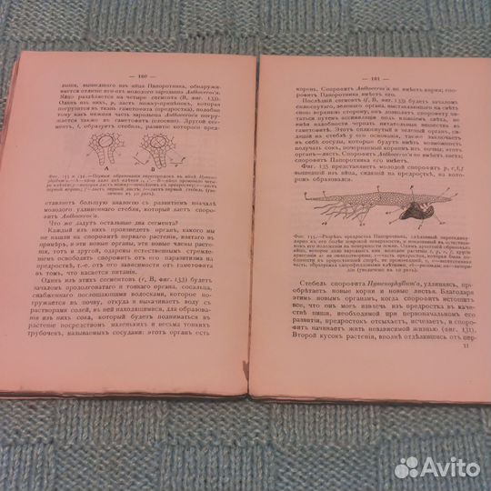 Книга Бонье Гастон - Растительный мир, Москва 1909