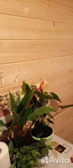 Ремонт и строительство