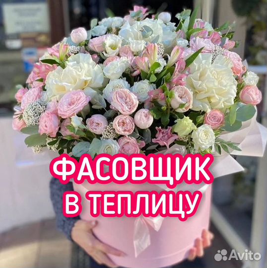 Фасовщик/фасовщица подработка/Без Опыта