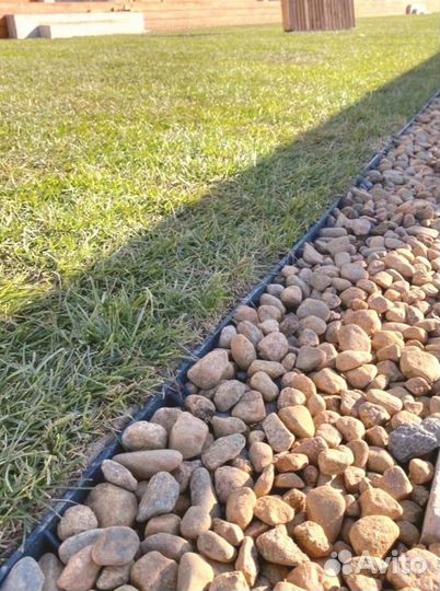 Рулонный газон