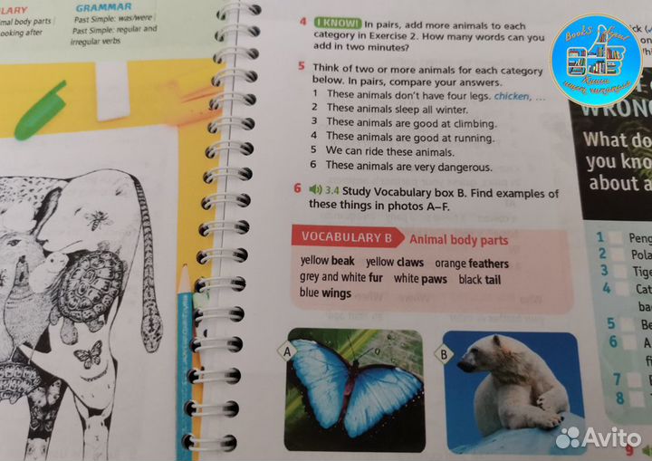 Wider World 2 Second Edition