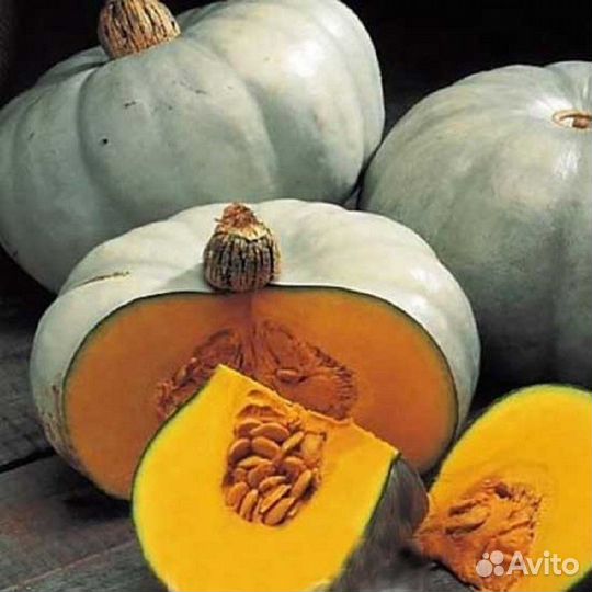 Тыква «Крошечка-Хаврошечка» 10 семян