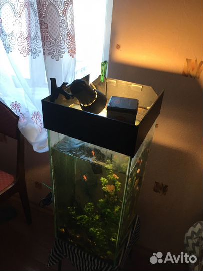 Аквариум
