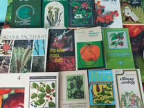 Книги лекарственные растения, травы, сад, огород