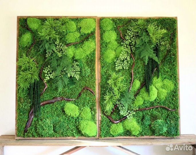 Фитокартина фитостена панно из мха мох