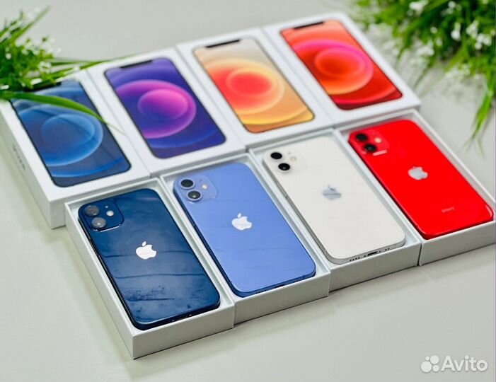 iPhone 12 mini, 256 ГБ