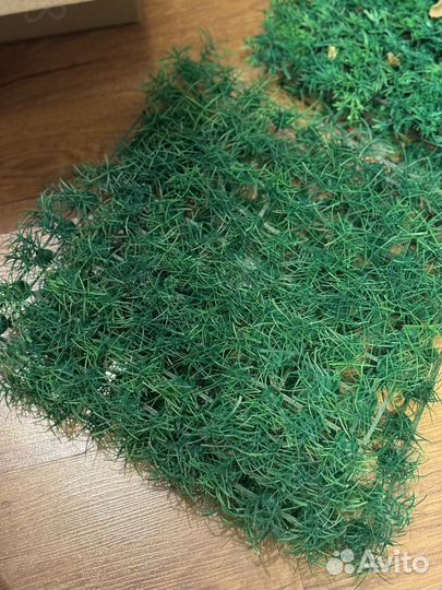 Аквариумное растение, диорама