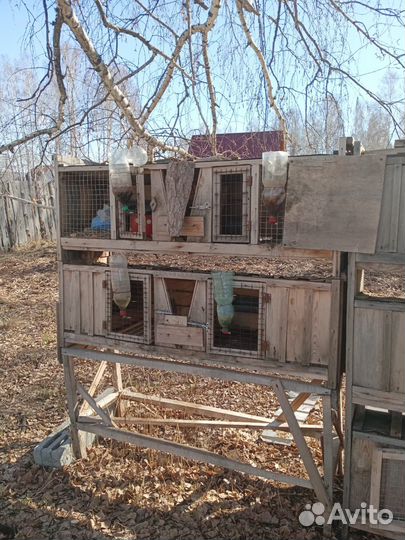 Клетки для кроликов