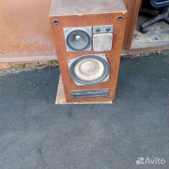 Колонки амфитон 50ас 022