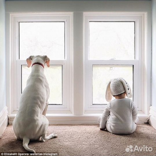 Камера видеонаблюдения