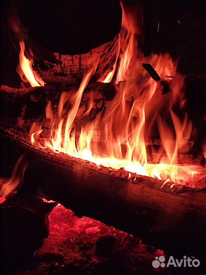 Плот в аренду