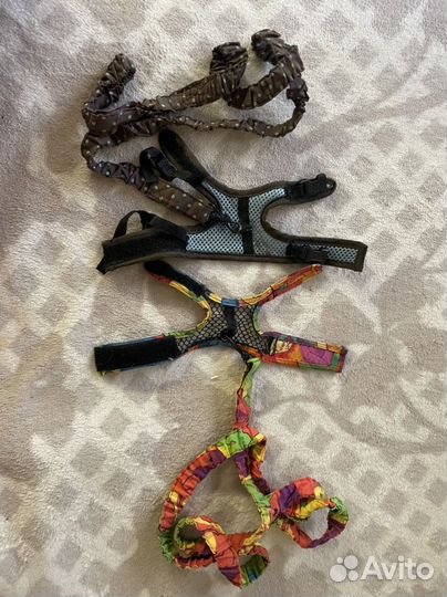 Шлейки для хорьков и грызунов