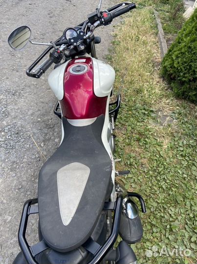 Suzuki SFV 650 Gladius