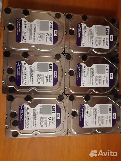 Жесткий диск WD Purple