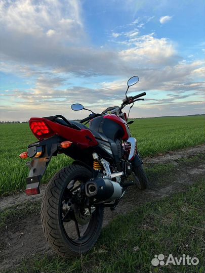 Racer nitro 250