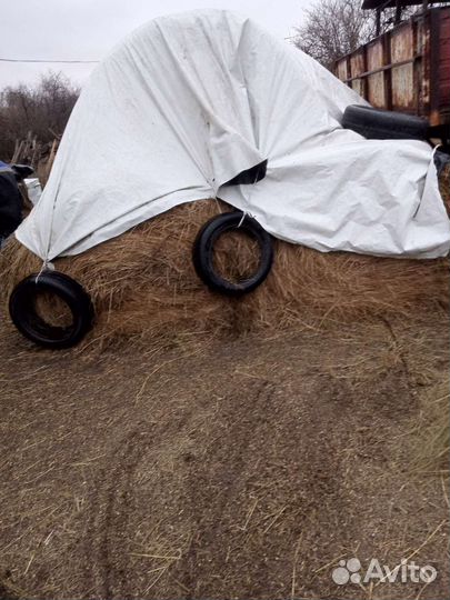 Продам сено в рулонах этого года
