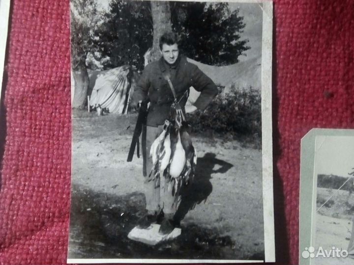 Фото «охота» середина 20 века ссср/5шт