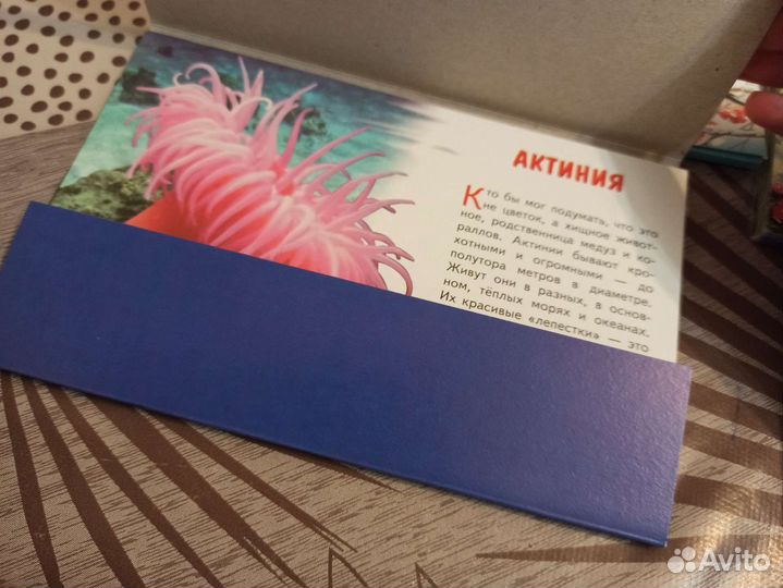 Обучающие карточки