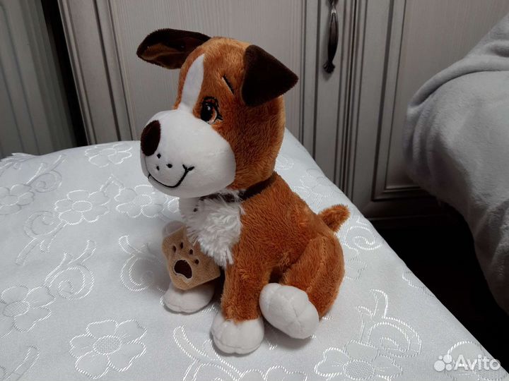 Собака, Щенок