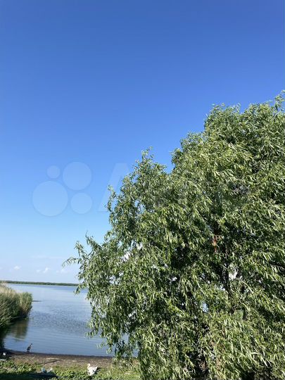 Участок 70 сот. (СНТ, ДНП)