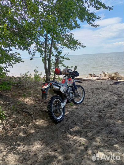Suzuki djebel 250xc 2006 год