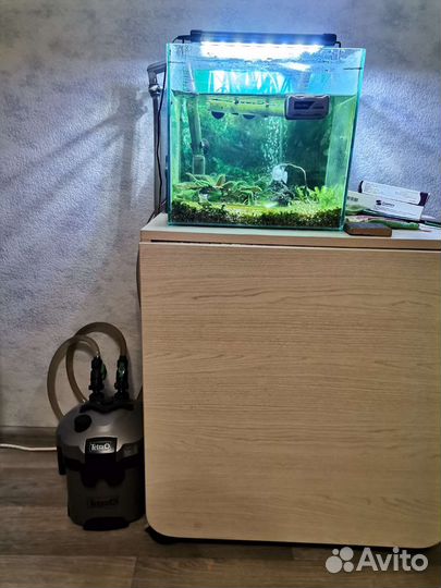 Аквариум