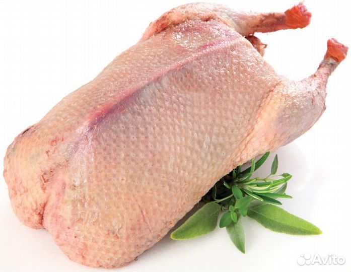 Продаю мясо уток, гусей и перепелов