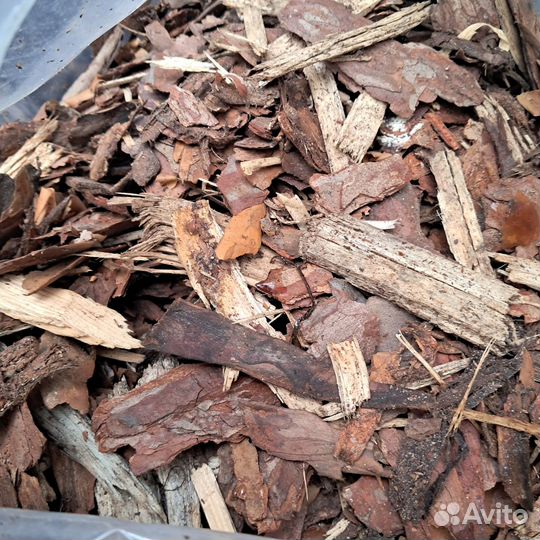 Кора сосны мульча