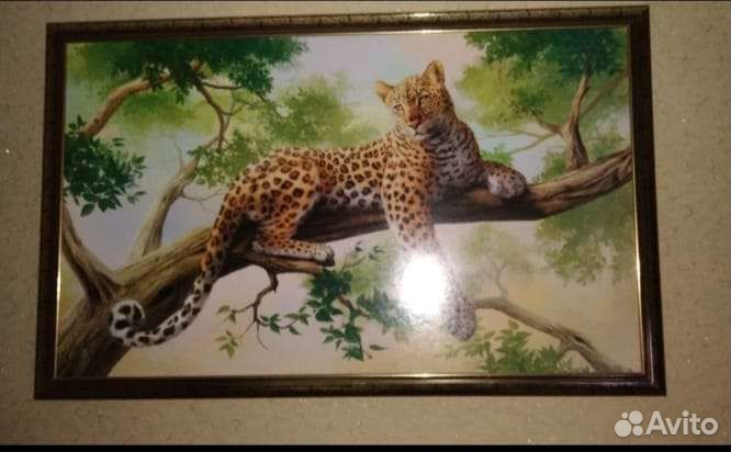 Картины