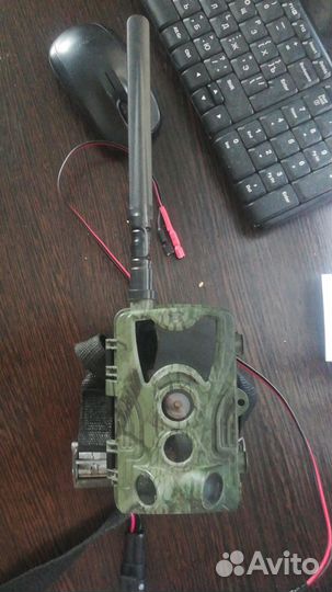 Фотоловушка Suntek HC-801M