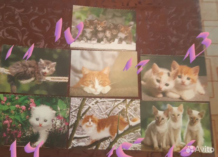 Открытки от лейбла Naumann & Gbel