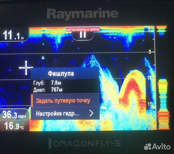 Эхолот raymarine dragonfly 5 pro