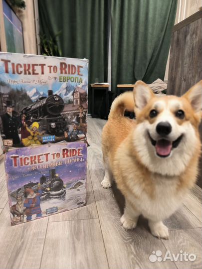 Семейные настольные игры