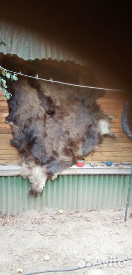 Шкура медведя имитация