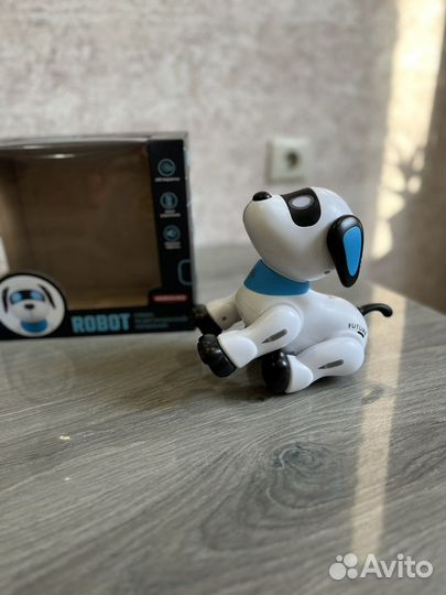 Робот собака на пульте
