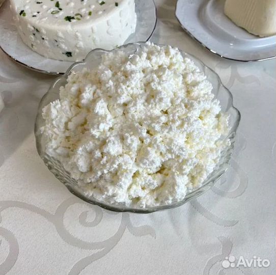 Творог и молочная продукция для Лесной Поляны