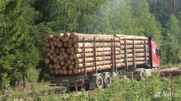 Пиловочник Лес кругляк Доставка