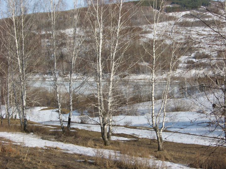 Участок 16 сот. (ИЖС)