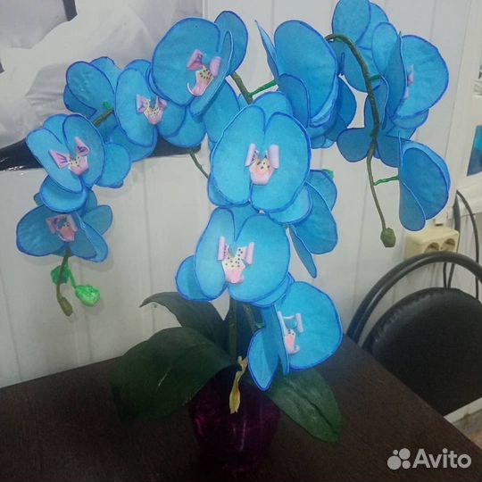 Орхидея в кашпо