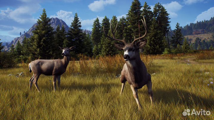 Way of the Hunter RU (Steam/Steam Deck)