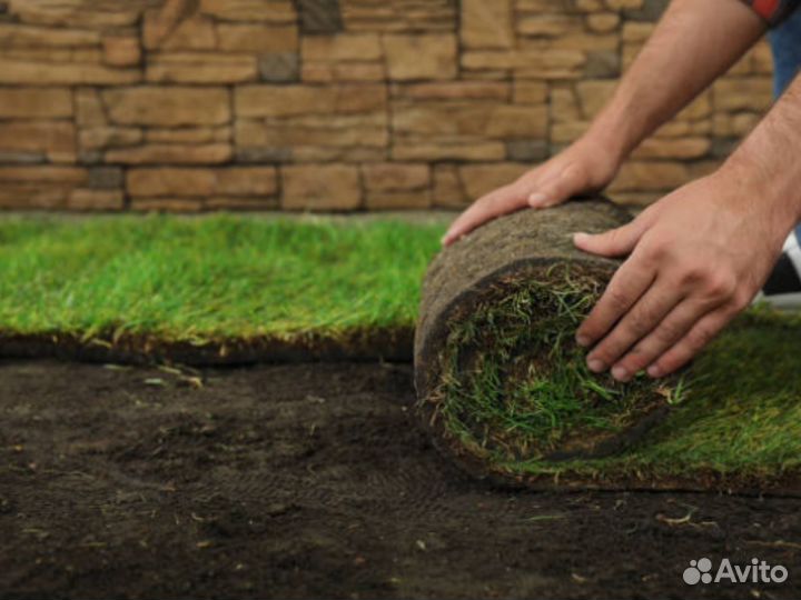 Укладка и продажа рулонного газона
