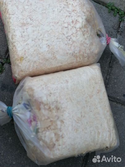 Гаммарус.Корм для рыб, черепах и т.д