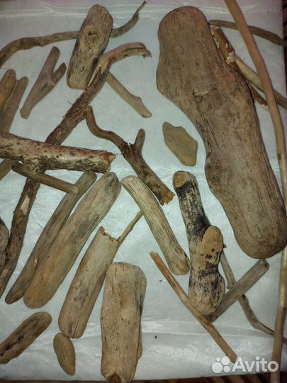 Коряги дрифтвуд